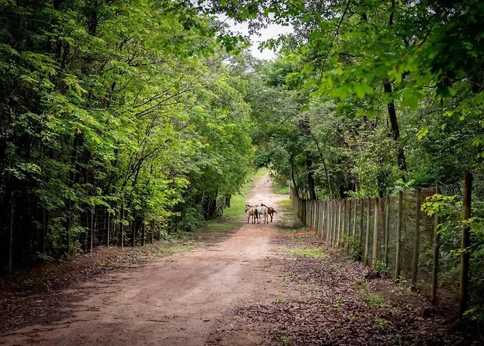 Sitio Da Vovo Dinha
