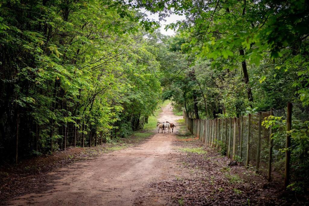 Sitio Da Vovo Dinha Villa *