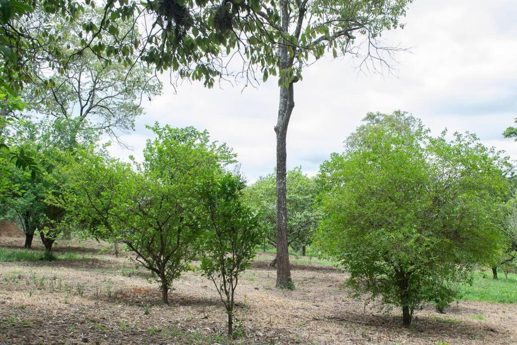 Sitio Da Vovo Dinha Villa *