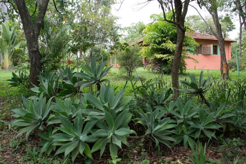 Villa Sitio Da Vovo Dinha Contagem